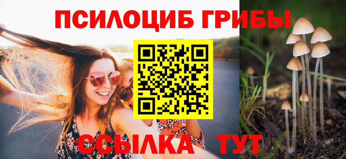 Псилоцибиновые грибы мухоморы  Галлюциногенные грибы MAGIC MUSHROOMS  Старая Купавна  Вход с VPN 
